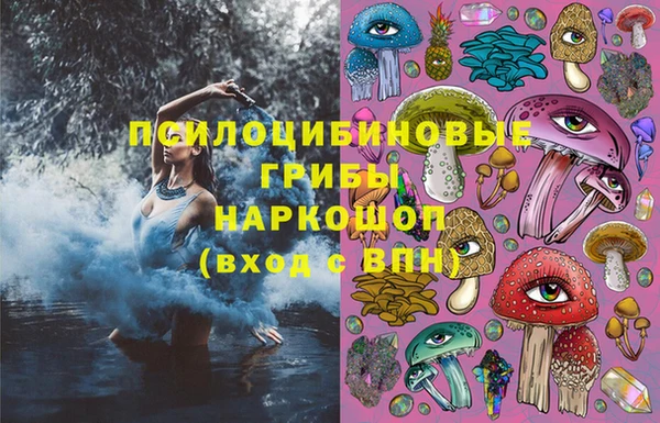 гашик Инсар