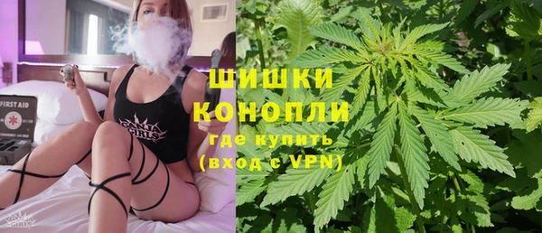 СК Инта