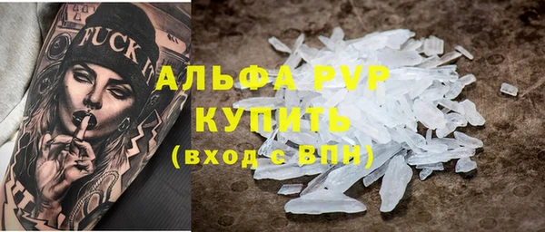 гашик Инсар