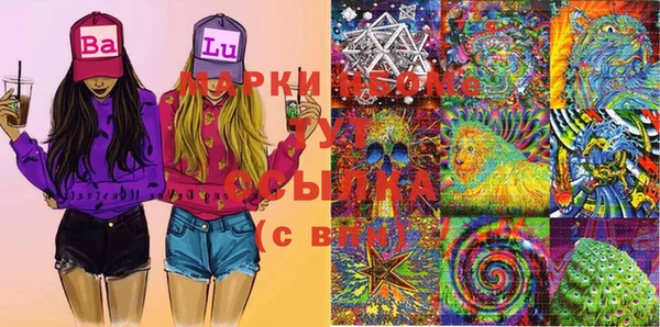 гашик Инсар