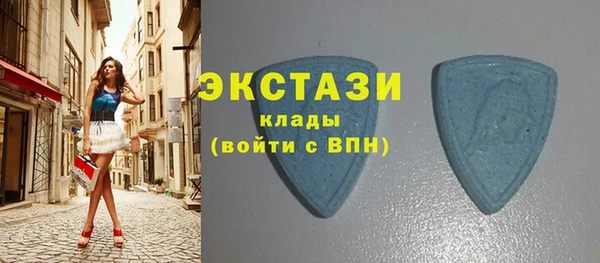 гашик Верея