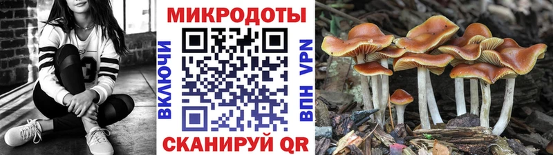 купить наркоту  Ялуторовск  Псилоцибиновые грибы прущие грибы 