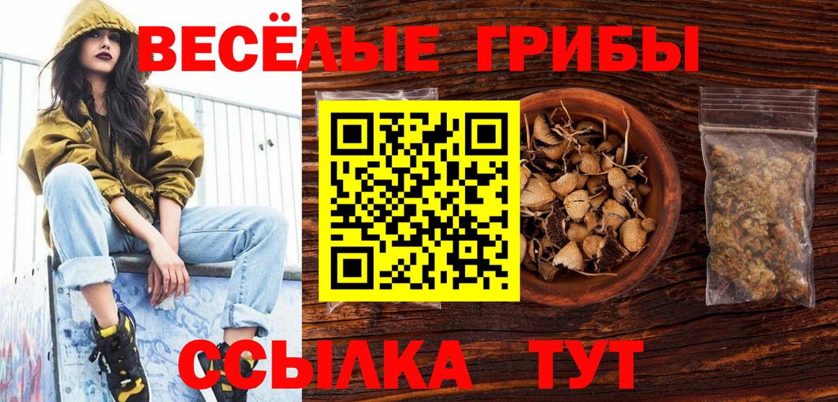 Псилоцибиновые грибы мицелий  Вход с VPN  Ялуторовск 