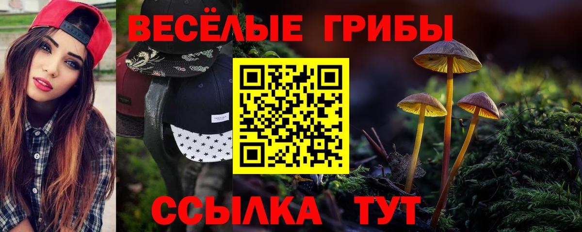 Псилоцибиновые грибы Cubensis  Ялуторовск 
